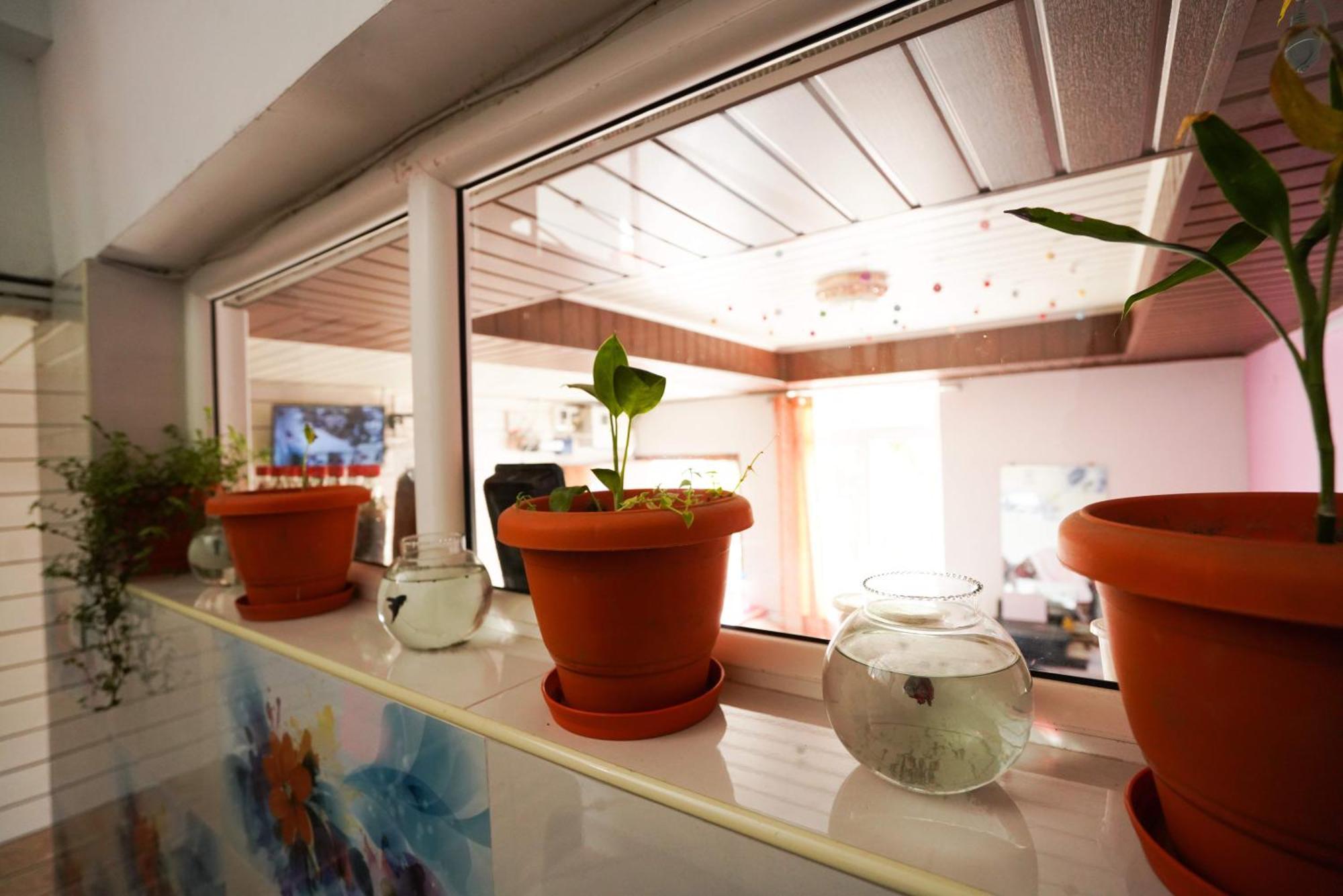 Msp Amma Cottage Munnar Zewnętrze zdjęcie